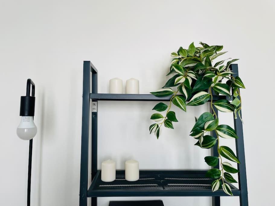 Charming & Cocooning Flat - Canal De L'Ourq Pantin Ngoại thất bức ảnh